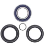 ALL BALLS RACING All Balls Front Wheel Bearing Kit Honda TRX 500 / 680 / Rincon 25-1572
