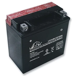 Leoch Battery EBX14-BS ATV / Motorcycle AGM Battery - (YTX14-BS)
